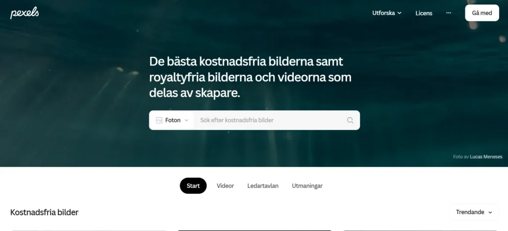 gratis bilder att använda fritt
